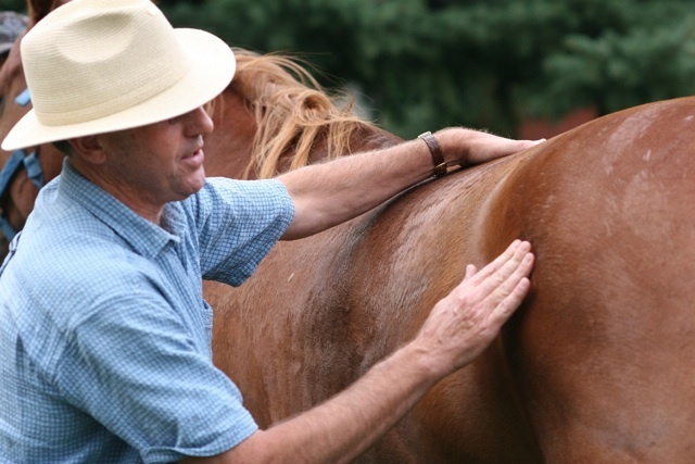 Natural approaches to horse and cat health.